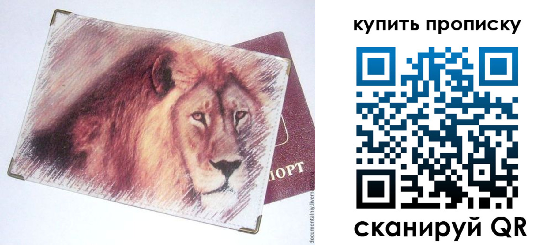 прописка паспорт в Няндоме